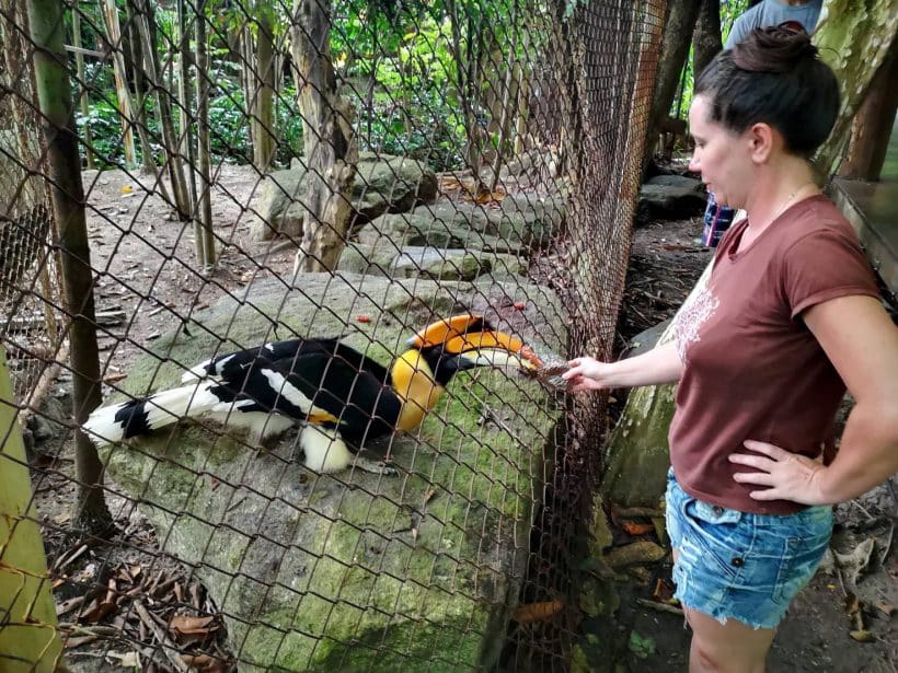 c6fe5b414931dfb66e6755ef2040a5f1d_3499511_181013_0148