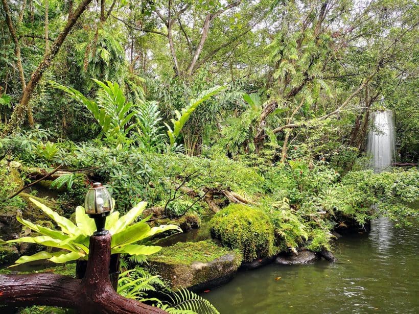 c6fe5b414931dfb66e6755ef2040a5f1d_3499511_181013_0152