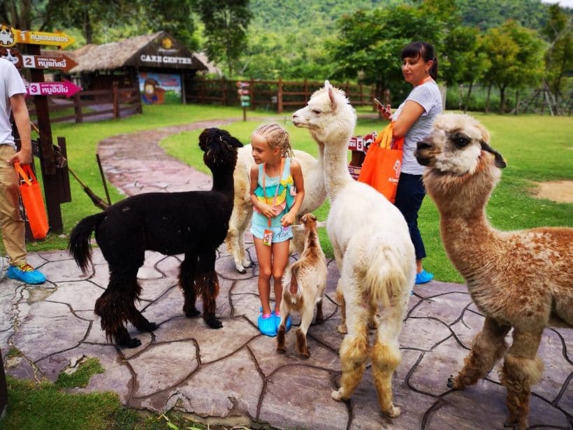 АЛЬПАКА ПАРК_181013_0211