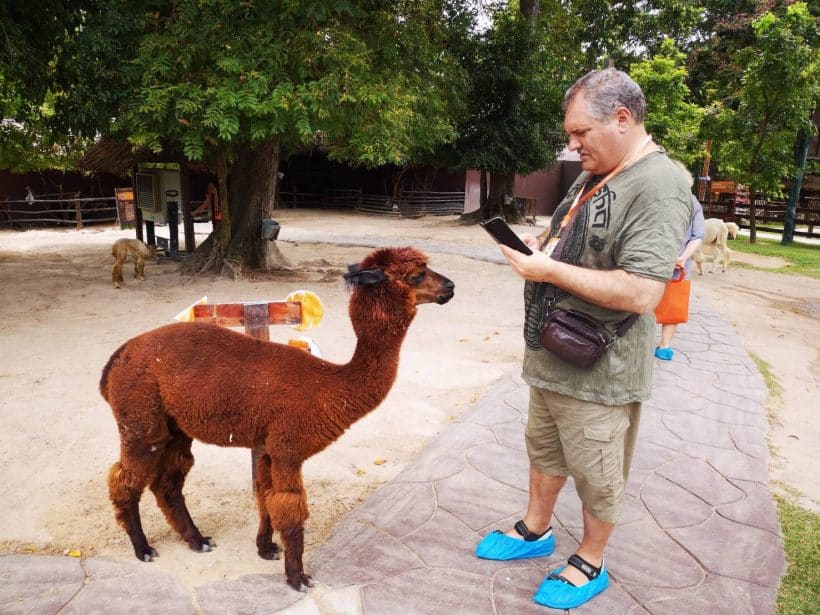 АЛЬПАКА ПАРК_181013_0222