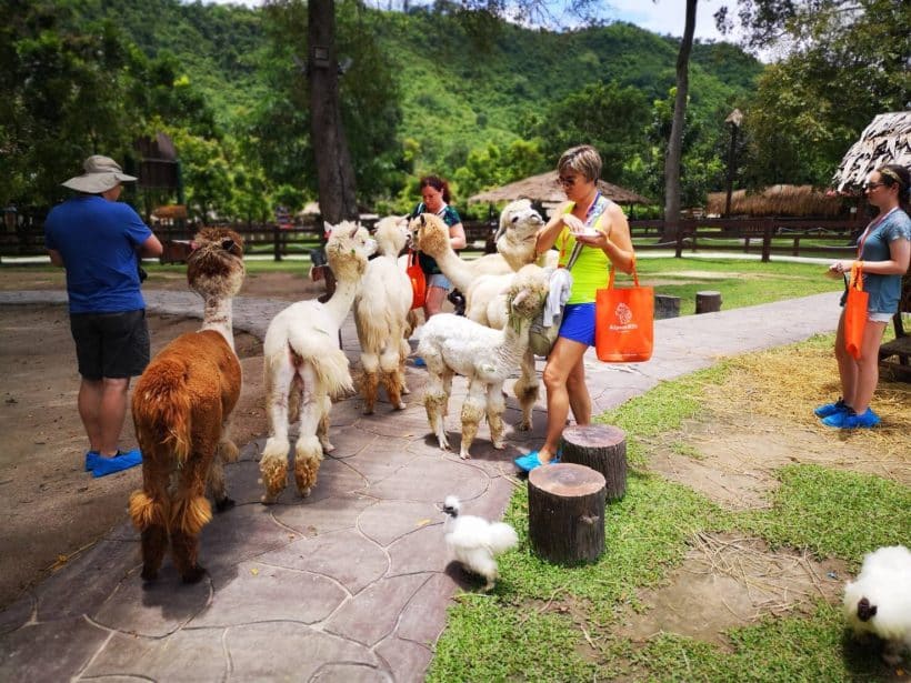 АЛЬПАКА ПАРК_181013_0248