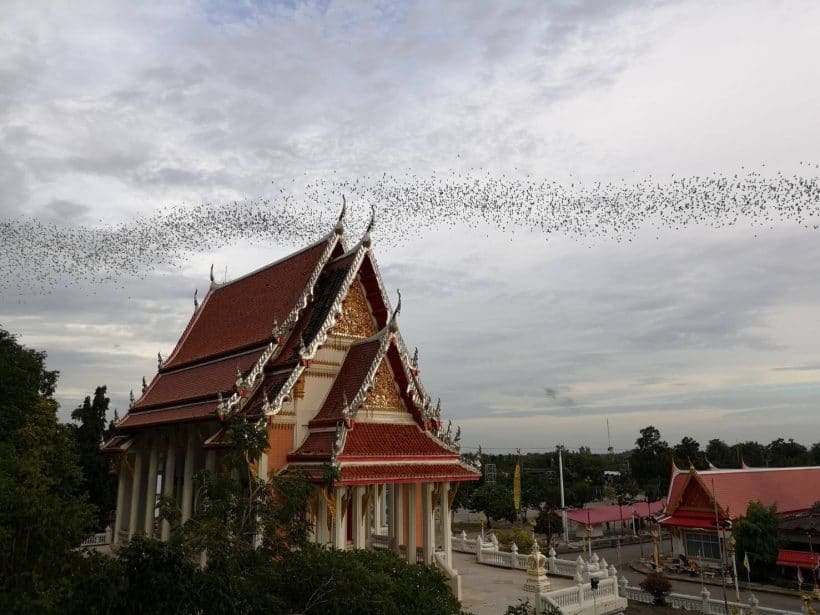 АЛЬПАКА ПАРК_181013_0260