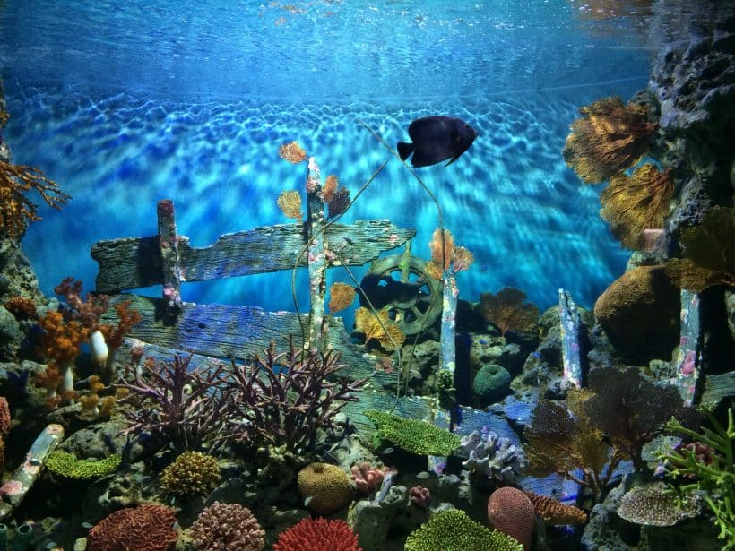 БАНГКОК ЭКСПРЕСС_139