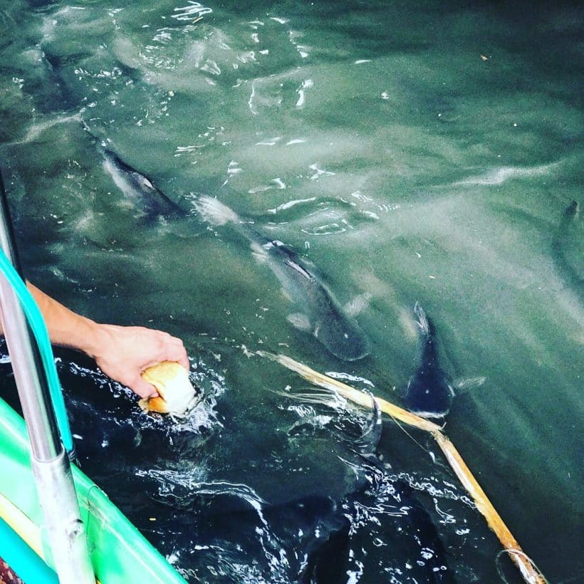 ВЕЧЕРНИЙ БАНГКОК_17