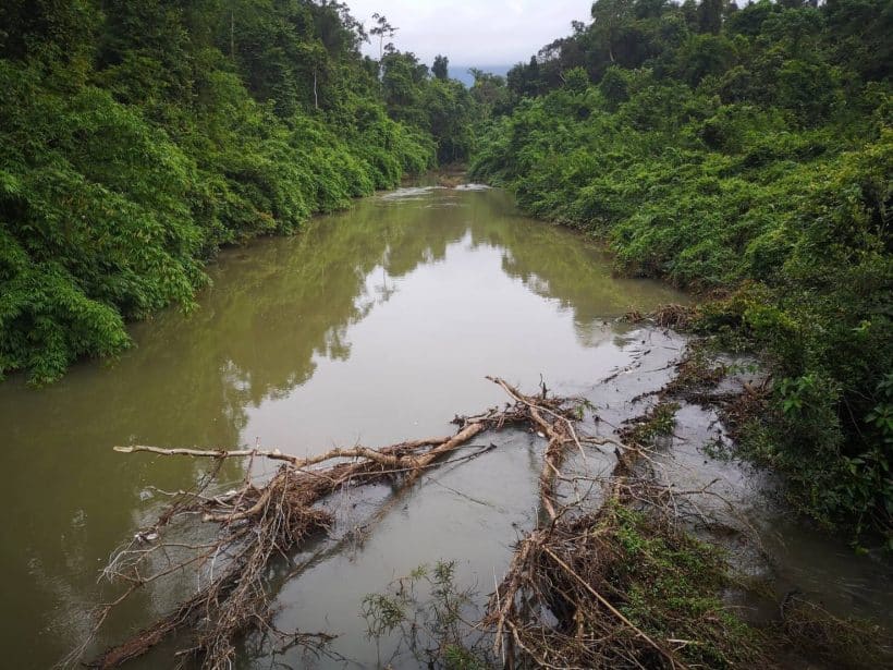 ДЖУНГЛИ ЗОВУТ – 2_181013_0122