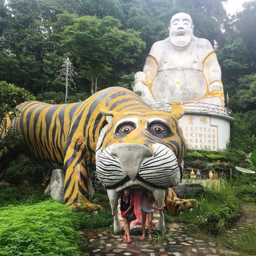 ДЖУНГЛИ ЗОВУТ – 2_181013_0140