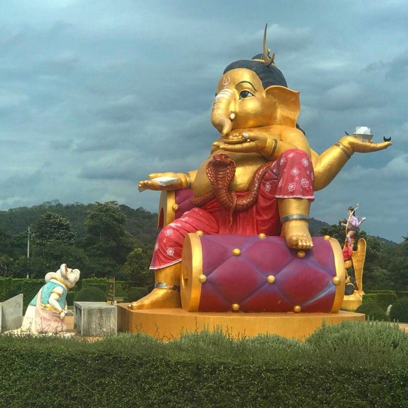 ДЖУНГЛИ ЗОВУТ – 2_181013_0153