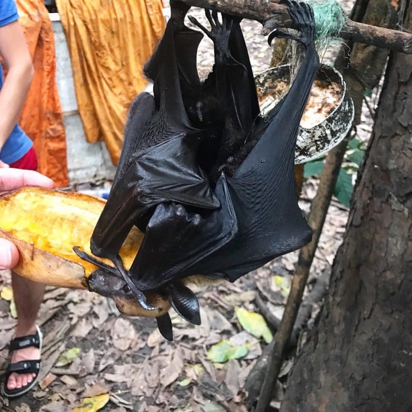 Изумительный Таиланд_181013_0113