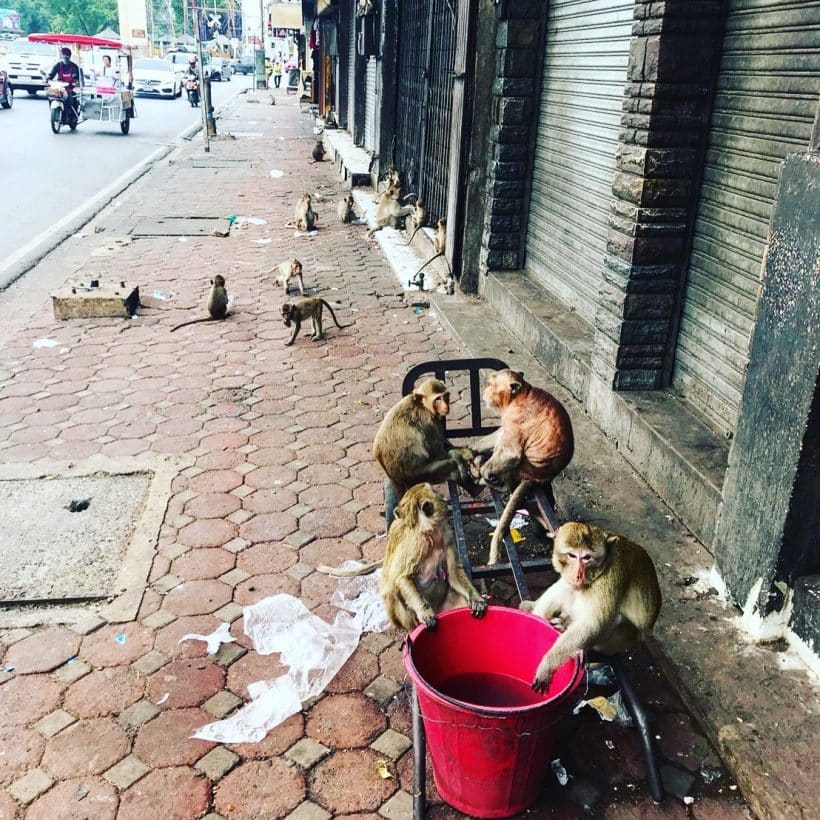 СИЛА ЖИЗНИ_181013_0268