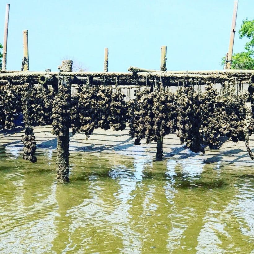 СТАЛКЕР_181013_0338