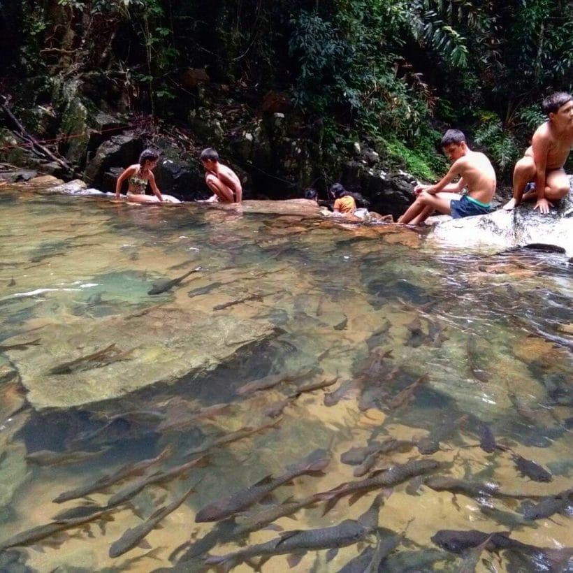 СТАЛКЕР_181013_0367