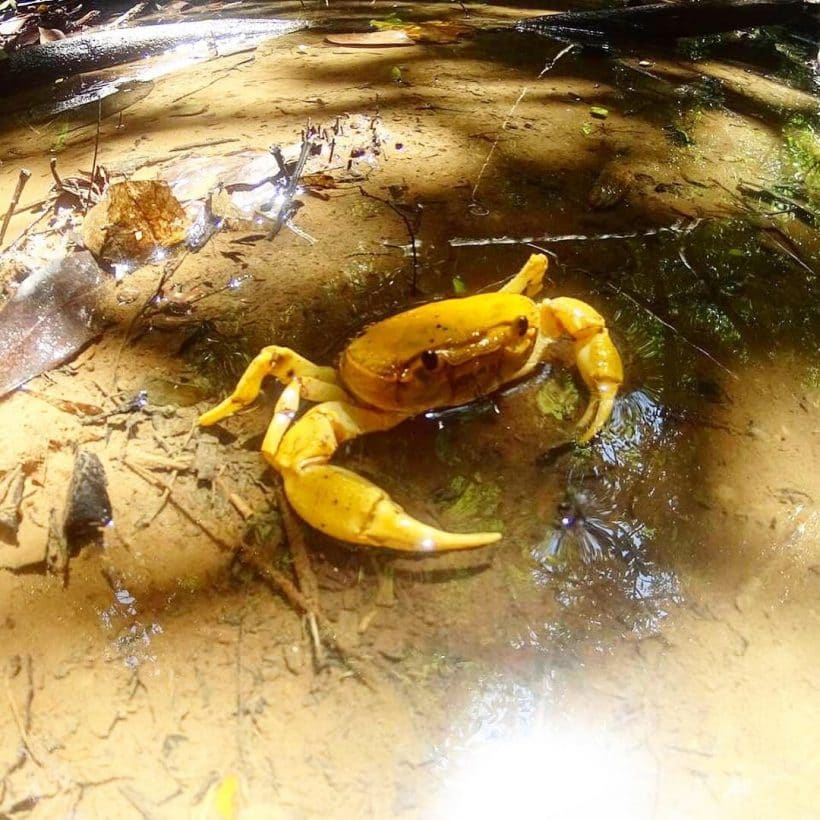 СТАЛКЕР_181013_0402