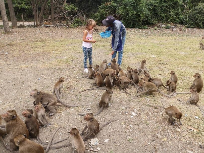 Тайский Экспресс_181013_0218