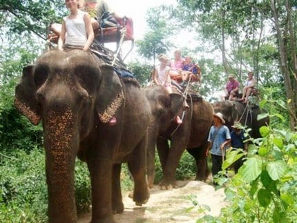 Катание на слонах