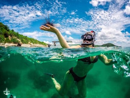 Морская Одиссея