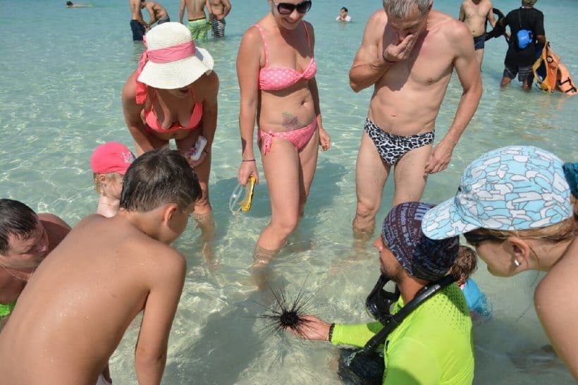 3 Чудо острова_181207_0003