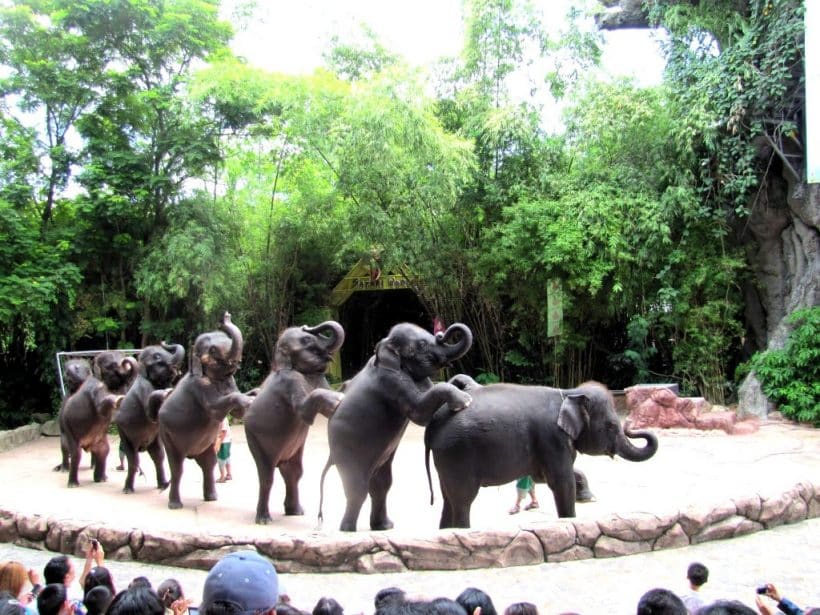 BANGKOK-–-SAFARI-WORLD-–-PATTAYA4