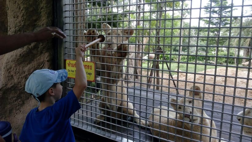 Khao Khewo_181115_0008