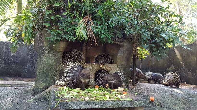 Khao Khewo_181115_0009