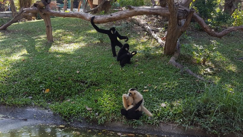 Khao Khewo_181115_0010