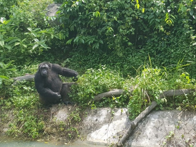 Khao Khewo_181115_0021