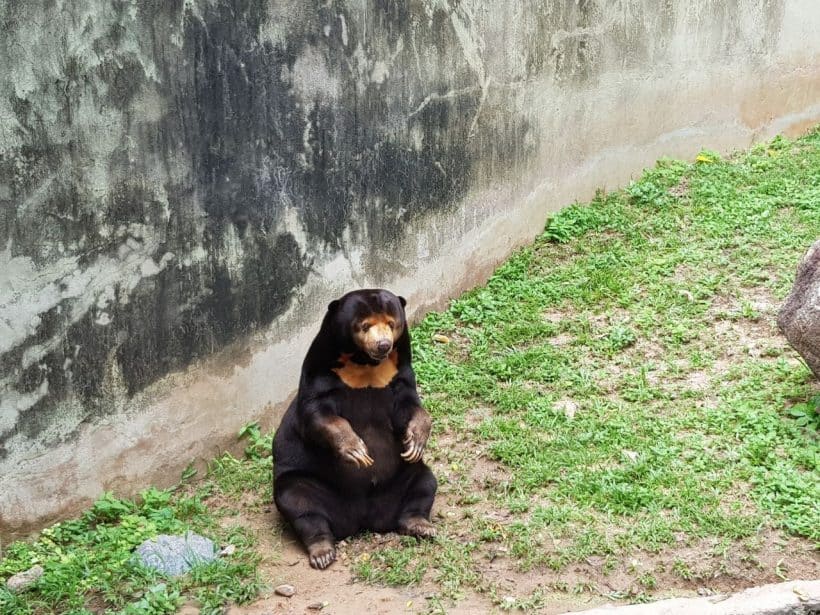 Khao Khewo_181115_0022