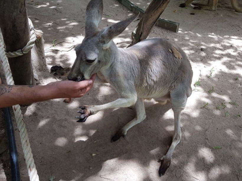 Khao Khewo_181115_0030