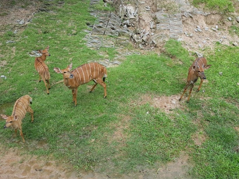 Khao Khewo_181115_0033