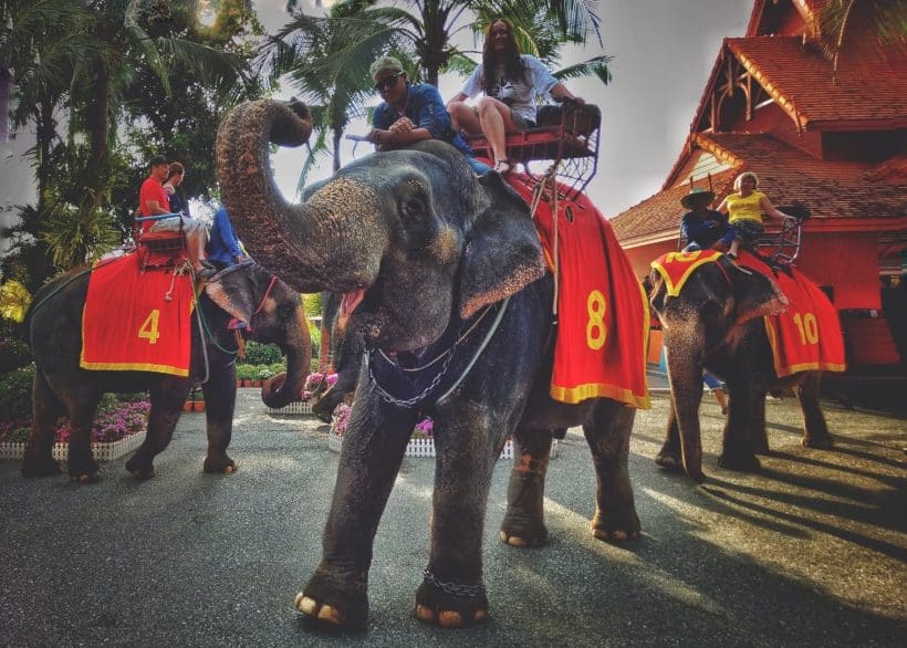 Nong Nooch garden_181115_0007