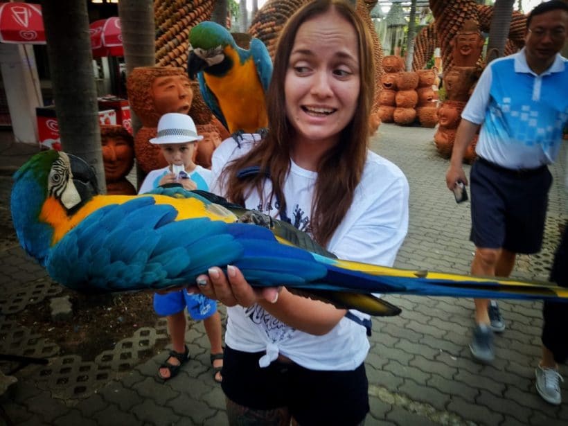 Nong Nooch garden_181115_0010