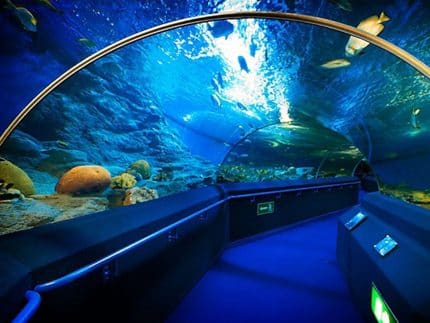 Океанариум в Паттайе