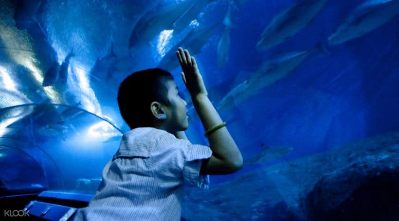 UnderwaterWorldPattaya