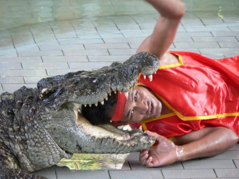 df70b2d028a2e720ca7420ecf9ff0a12_1024_768