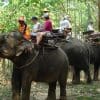 one-hour-elephant-trekking-pattaya-tour-2-2