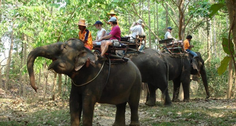 one-hour-elephant-trekking-pattaya-tour-2-2