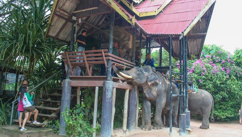 pty-elephantvillage03