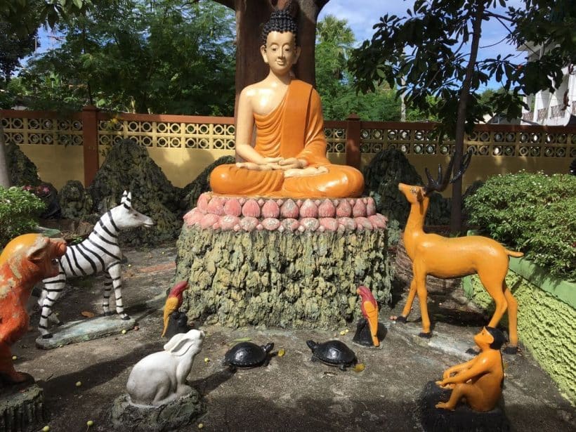 Дискавери_181115_0003