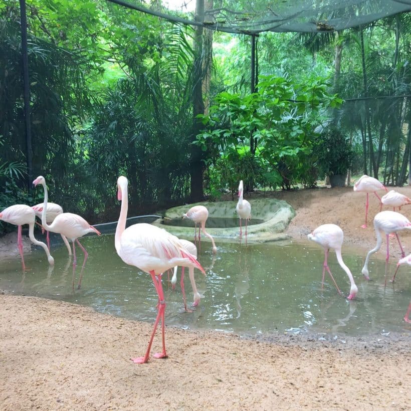 Дискавери_181115_0009