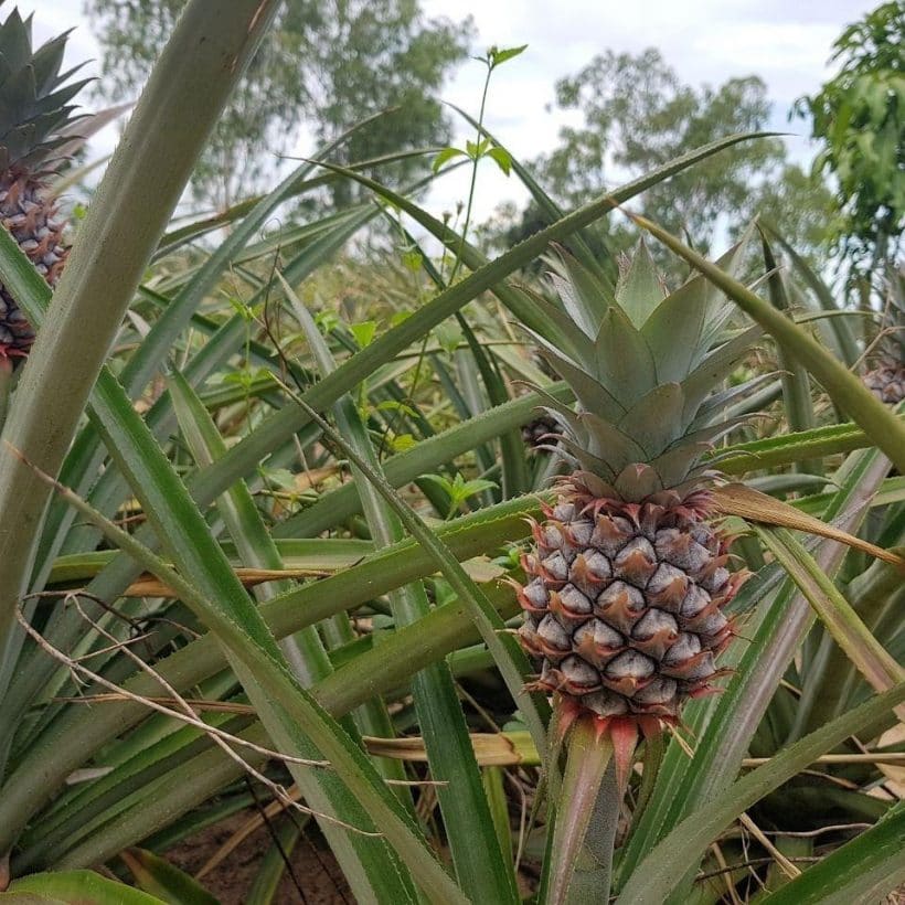 Дискавери_181115_0011