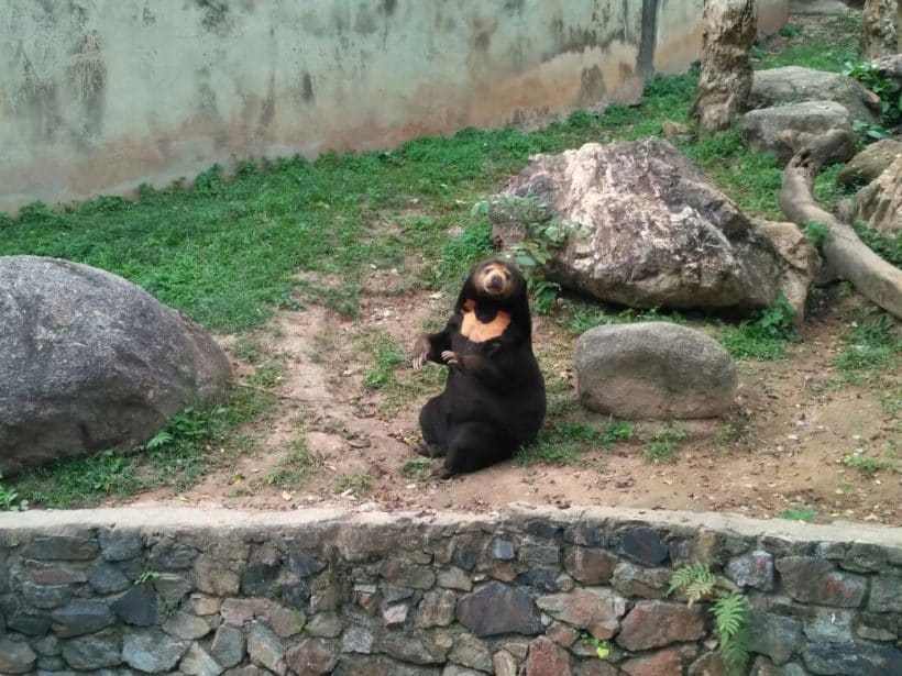 Дискавери_181115_0027