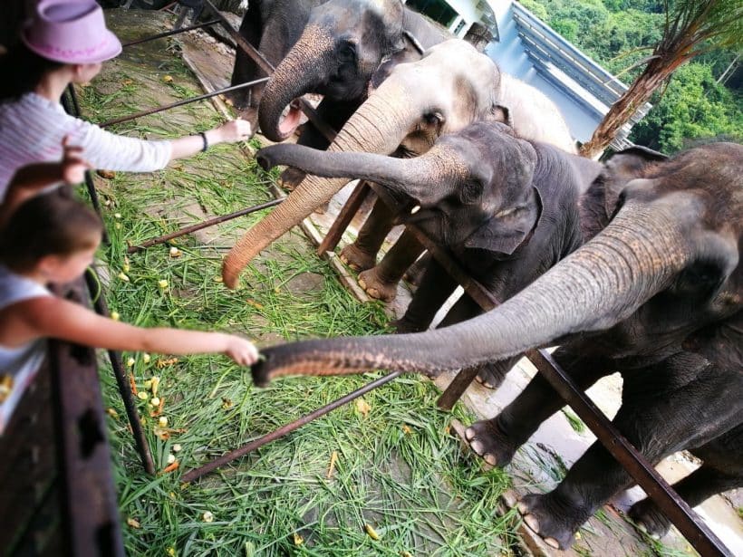 Дискавери_181115_0028