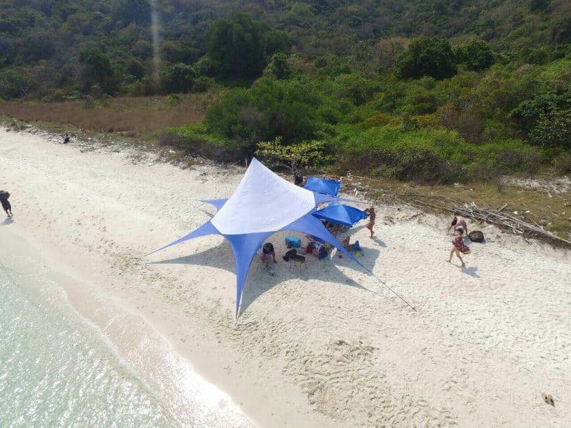 Карибо_181208_0010