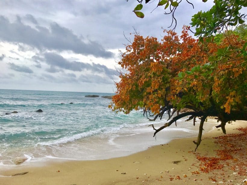 Тайские Мальдивы_181208_0069