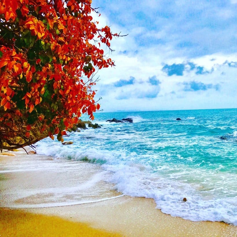 Тайские Мальдивы_181208_0079