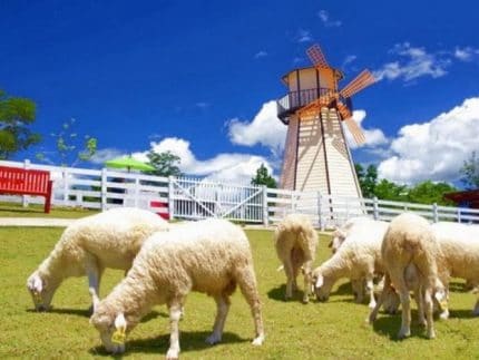 Семейный Тур ''Family Tour''