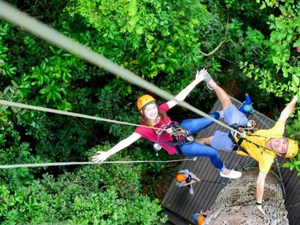 Полет Гиббона