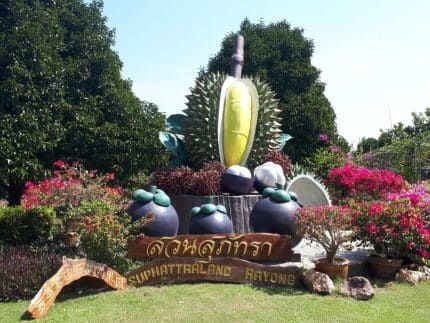 Сабай Тур Мини