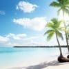 tropical-sand-beach-palms
