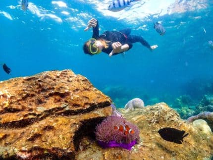 Подводная одиссея