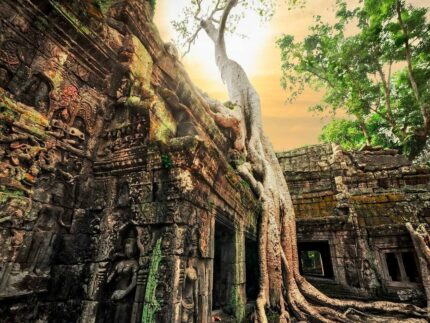 Камбоджа «По Следам Лары Крофт» 2 Дня 1 Ночь